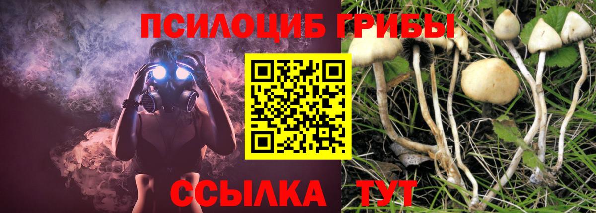 Галлюциногенные грибы мухоморы Казань