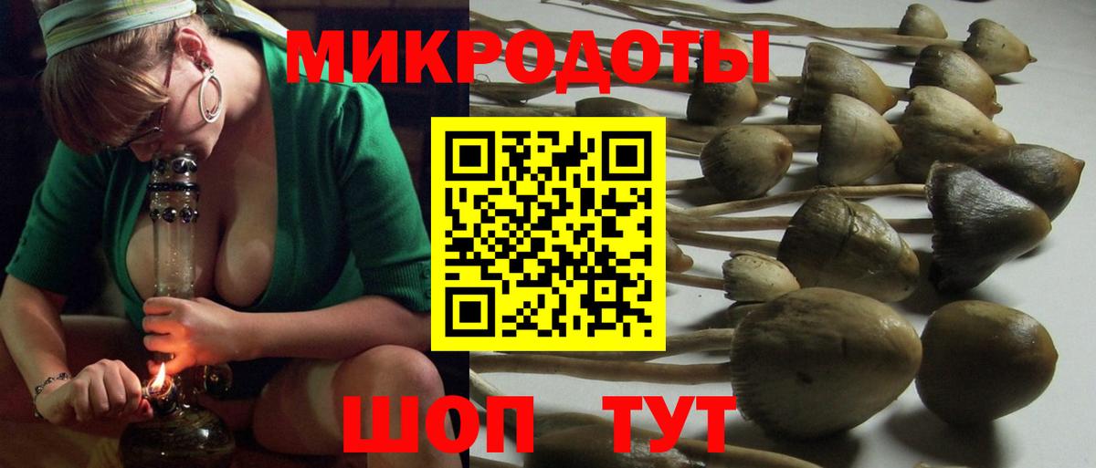 Галлюциногенные грибы Magic Shrooms  Вход с VPN  Галлюциногенные грибы GOLDEN TEACHER  Казань 